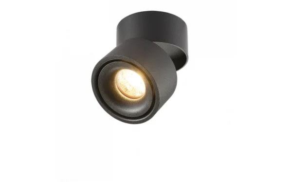 LED DOWNLIGHT SURFACE ADJUSTABLE 12W 960LM 4000K BLACK BODY BRIDGELUX-CHIP