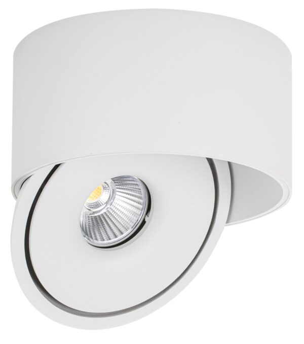 LED DOWNLIGHT SURFACE ADJUSTABLE 30W 3000LM ССТ WHITE BODY BRIDGELUX-CHIP