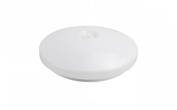 OUTDOOR SEILING LIGHT 2XE27 IP54 WITH PIR-SENSOR
